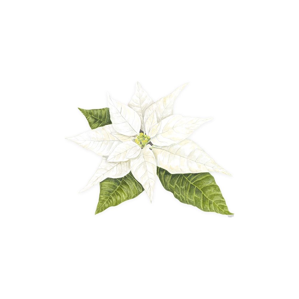 Home for the Holidays icon XIV-White Poinsetta 2 art print by Tara Reed for $57.95 CAD