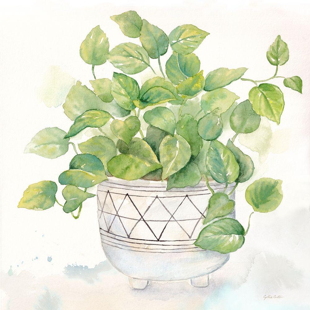 Houseplant I-Philodendron art print by Cynthia Coulter for $57.95 CAD