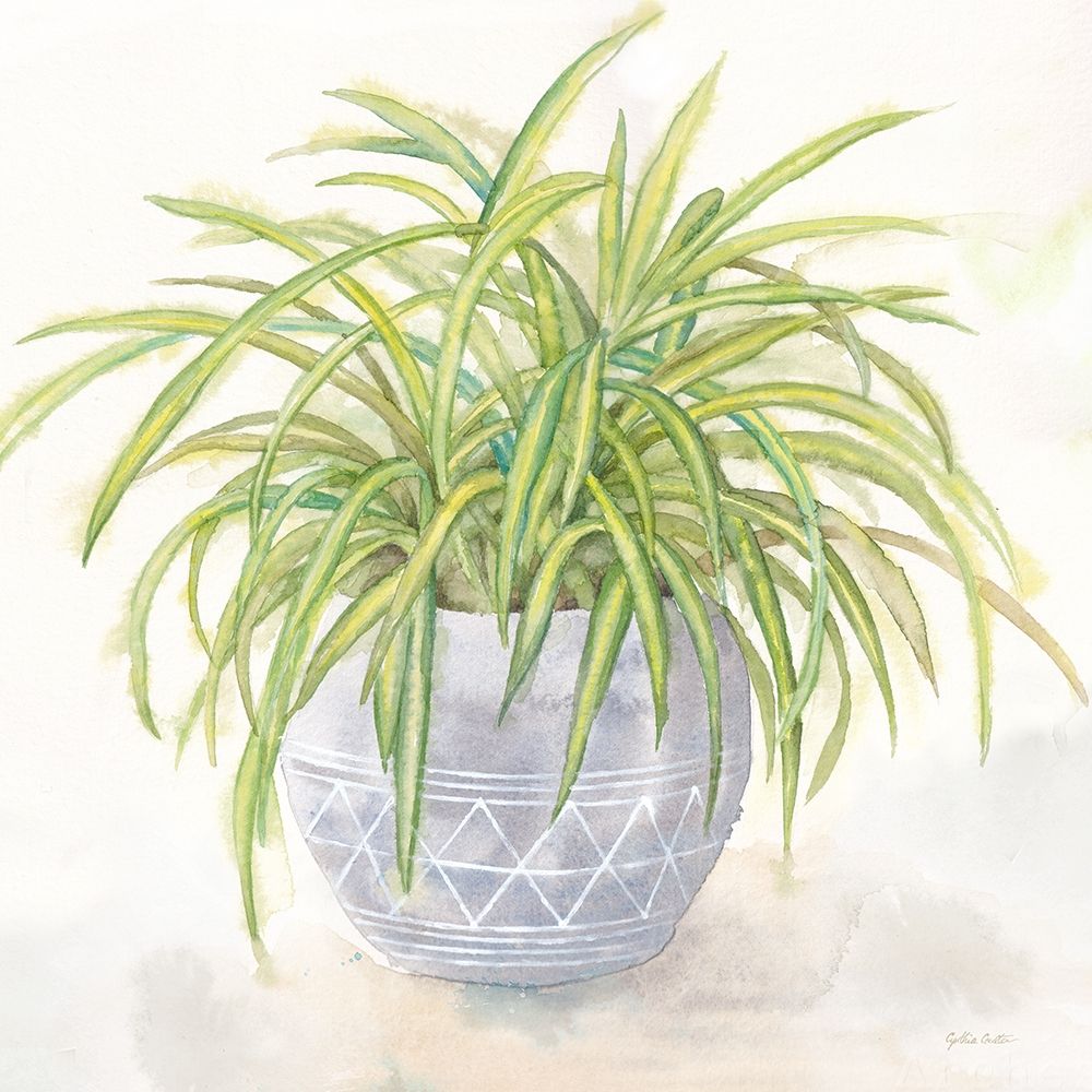 Houseplant II-Spider Plant art print by Cynthia Coulter for $57.95 CAD