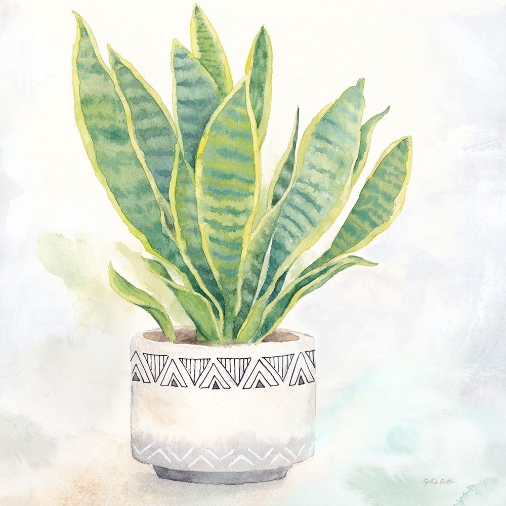 Houseplant IV-Snake Plant art print by Cynthia Coulter for $57.95 CAD