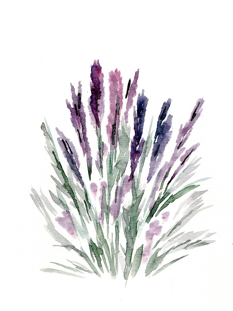 Lavender art print by Marcy Chapman for $57.95 CAD