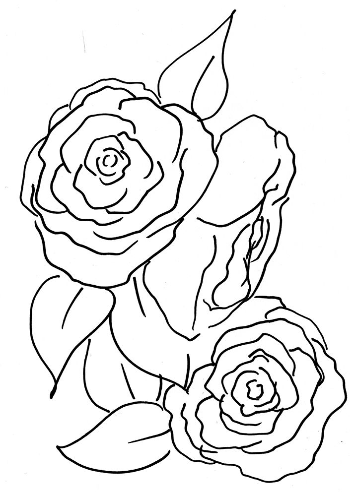 Hand Sketch Roses II art print by Marcy Chapman for $57.95 CAD