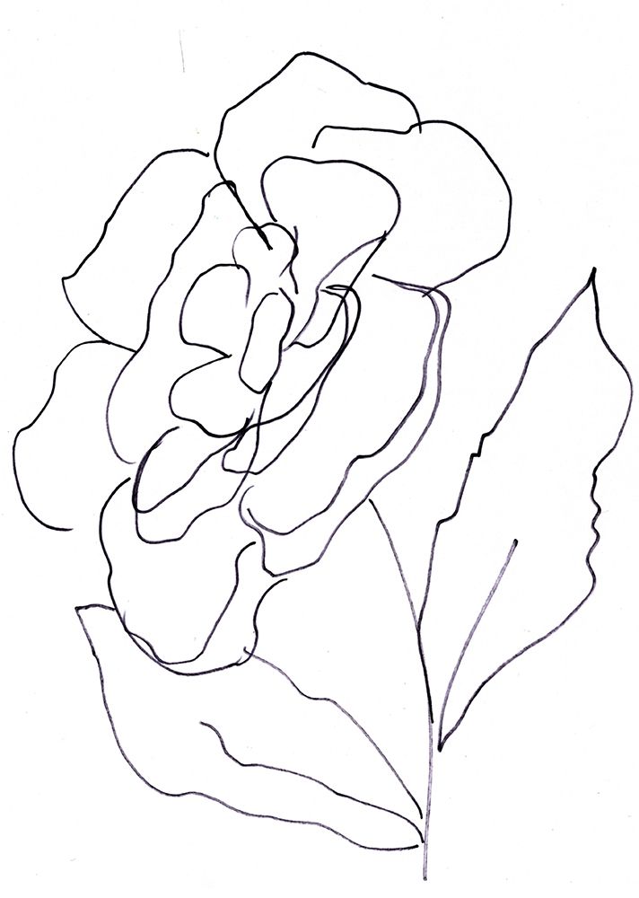 Hand Sketch Magnolia II art print by Marcy Chapman for $57.95 CAD