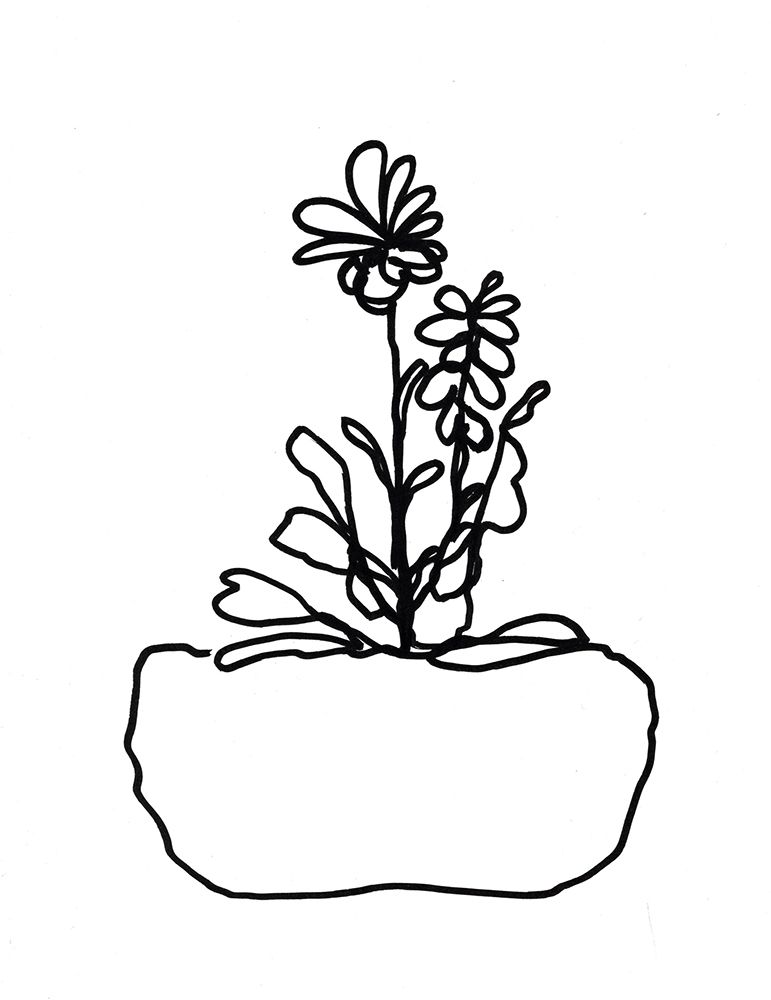 Hand Sketch Flowerpot II art print by Marcy Chapman for $57.95 CAD