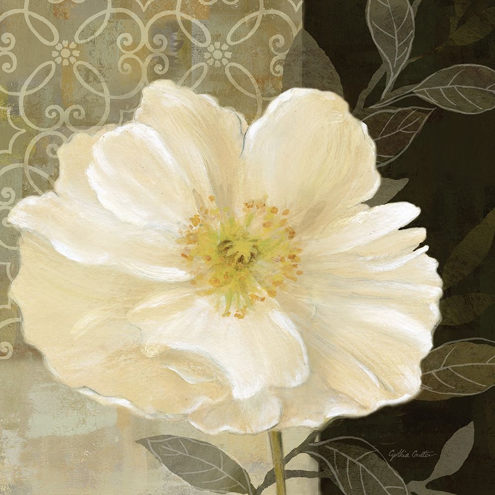 Midnight Poppy Closeup II art print by Cynthia Coulter for $57.95 CAD