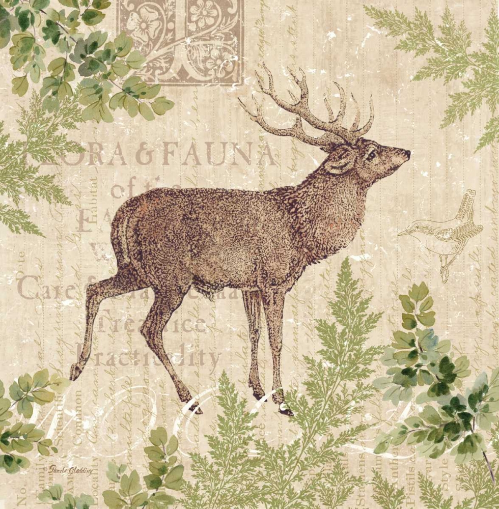 Woodland Trail I - deer art print by Pamela Gladding for $57.95 CAD