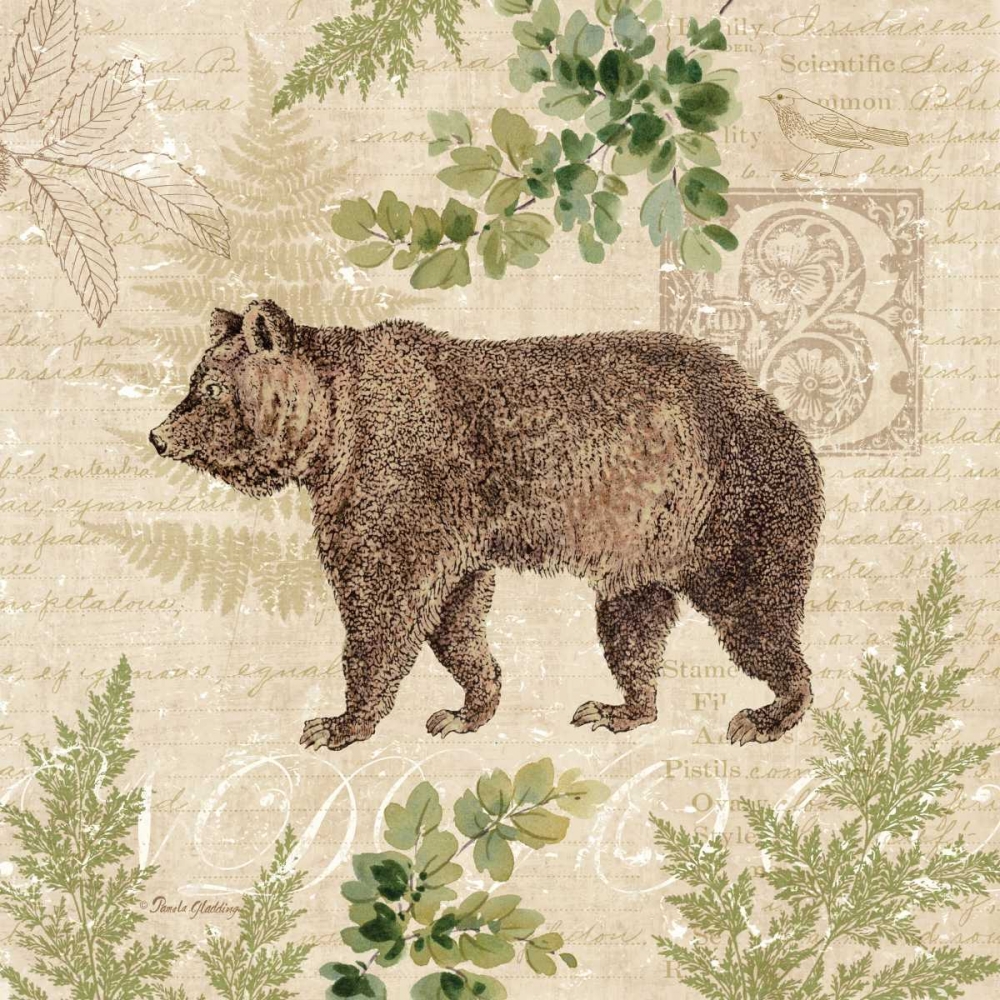 Woodland Trail II - bear art print by Pamela Gladding for $57.95 CAD