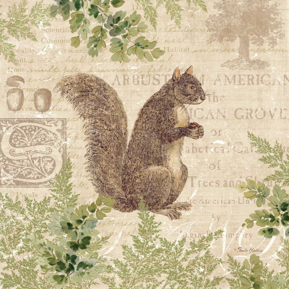 Woodland Trail III - squirrel  art print by Pamela Gladding for $57.95 CAD
