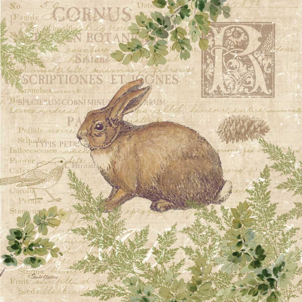 Woodland Trail IV - rabbit  art print by Pamela Gladding for $57.95 CAD