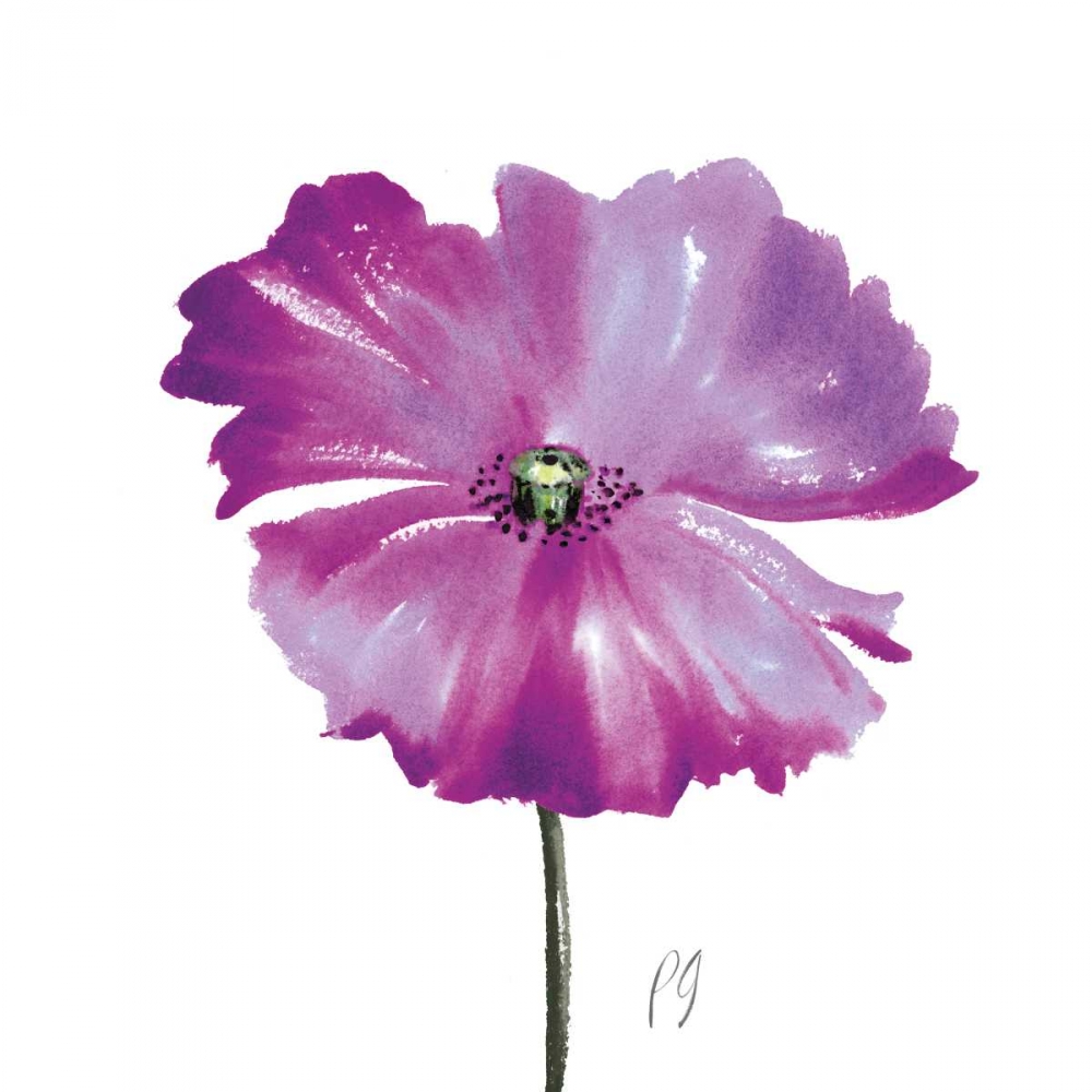 Poppies Tempo III art print by Pamela Gladding for $57.95 CAD
