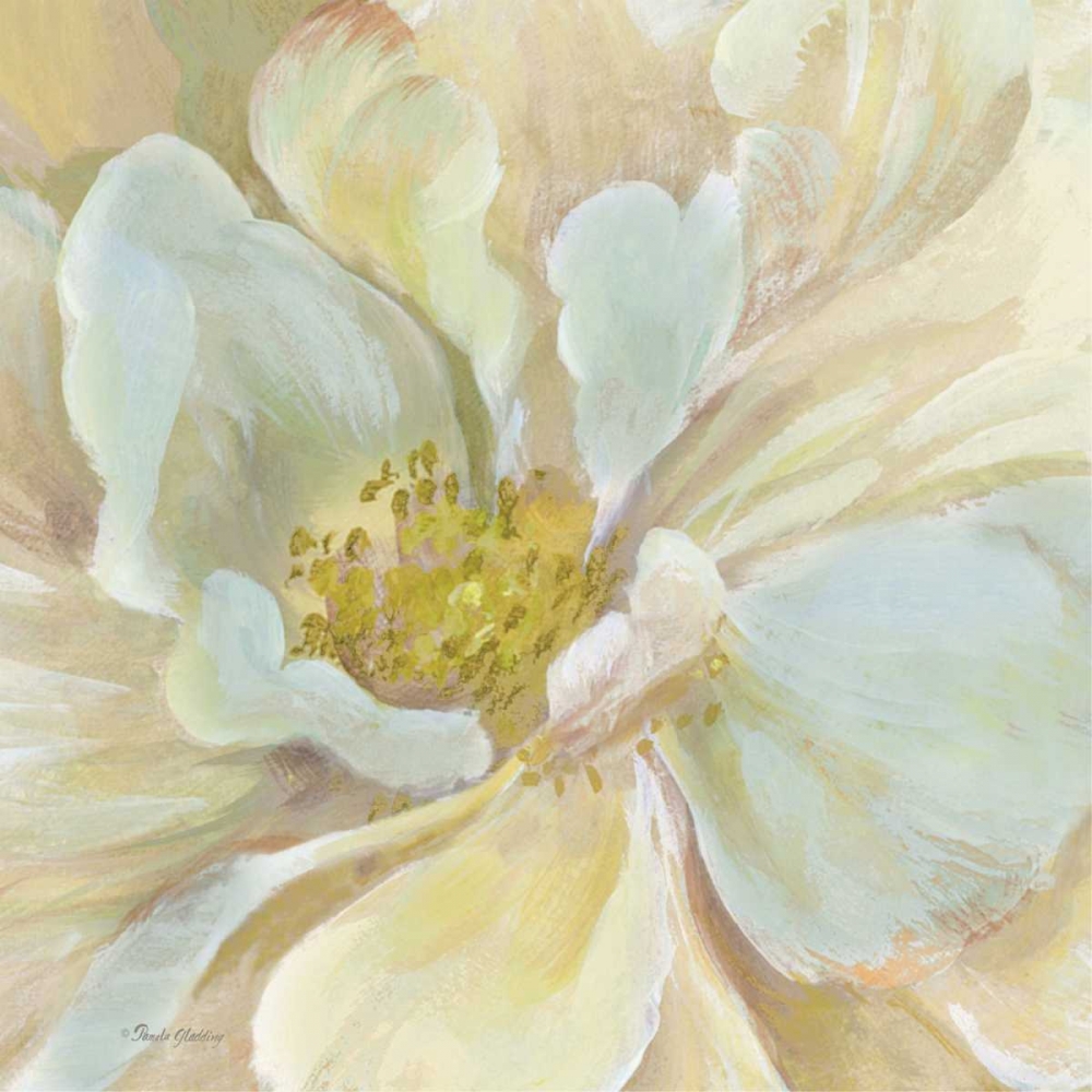 Classic Floral Study II art print by Pamela Gladding for $57.95 CAD