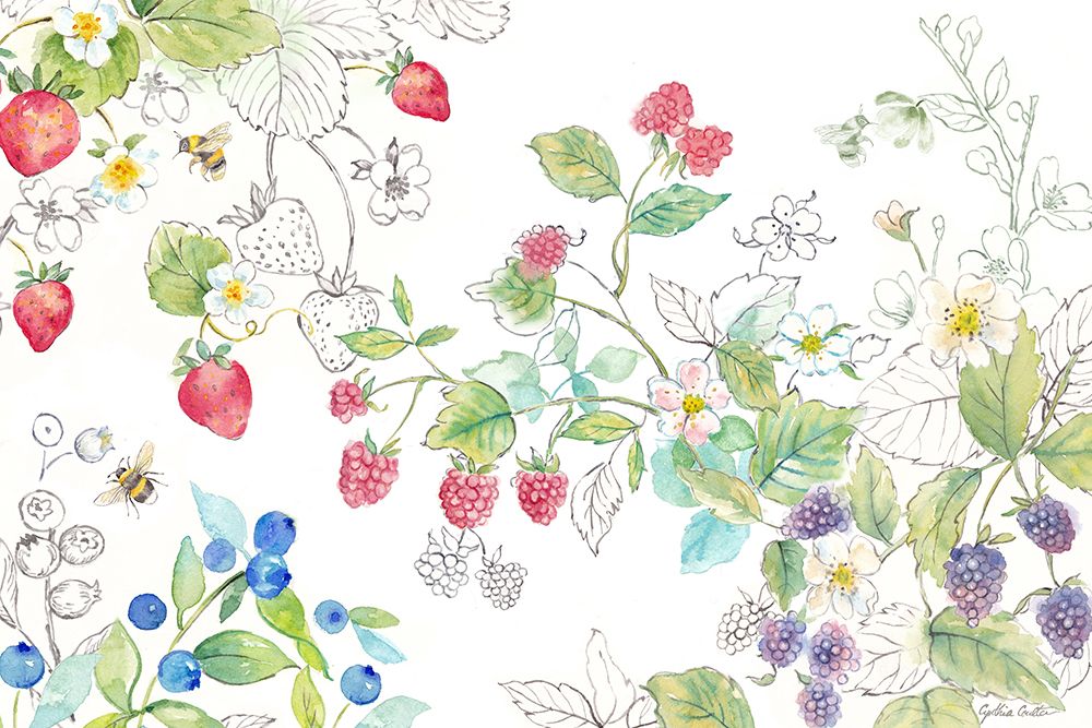 Berries and Bees I art print by Cynthia Coulter for $57.95 CAD