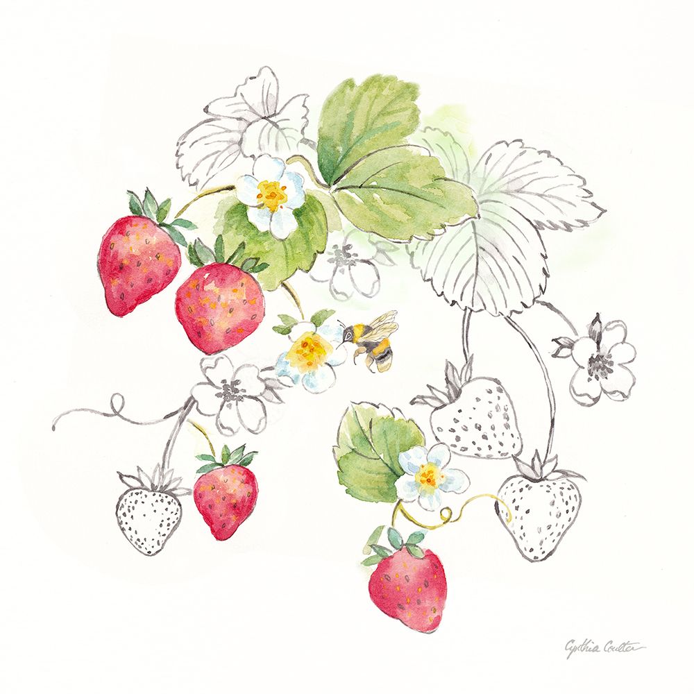 Berries and Bees II art print by Cynthia Coulter for $57.95 CAD