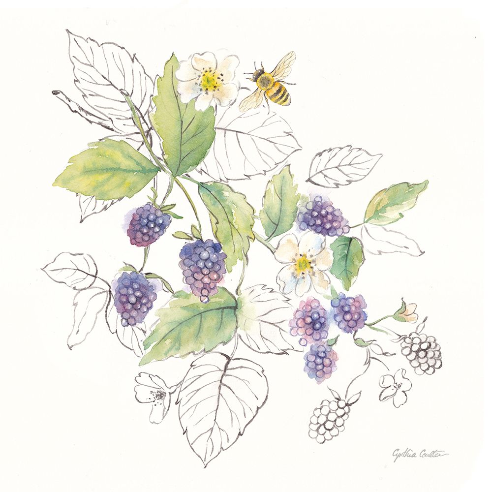 Berries and Bees III art print by Cynthia Coulter for $57.95 CAD