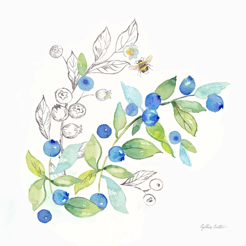 Berries and Bees IV art print by Cynthia Coulter for $57.95 CAD