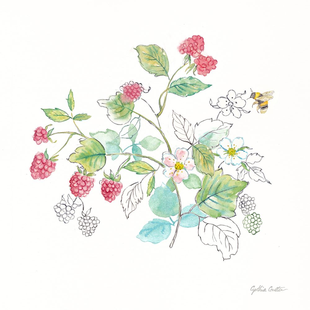 Berries and Bees V art print by Cynthia Coulter for $57.95 CAD