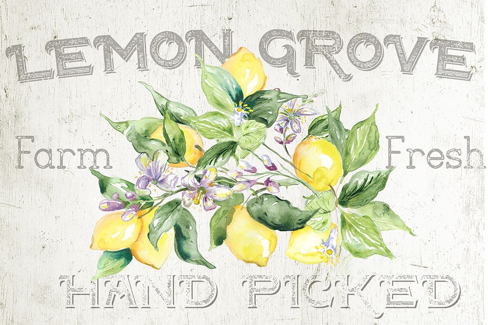 Lemon  Grove I art print by Tre Sorelle Studios for $57.95 CAD