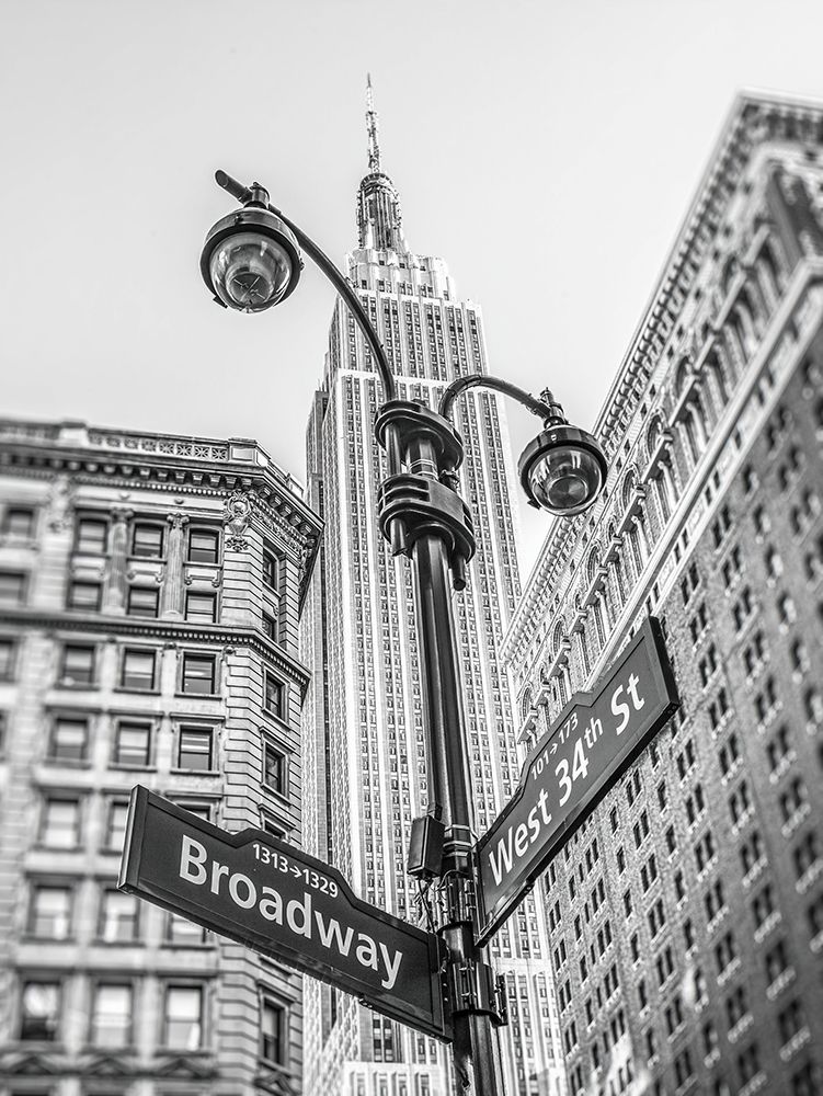Street lamp and street signs with Empire State building in background - New York art print by Assaf Frank for $57.95 CAD