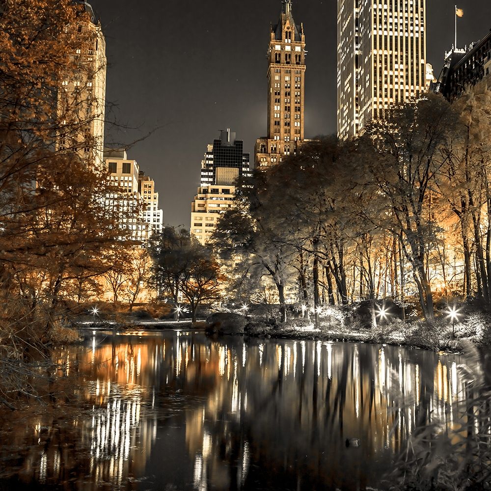 Evening view of Central Park in New York City art print by Assaf Frank for $57.95 CAD