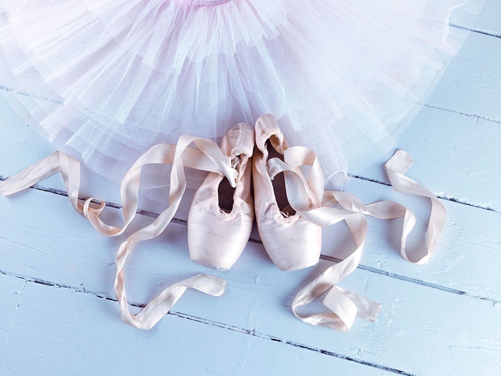 Ballet shoes and ress art print by Assaf Frank for $57.95 CAD