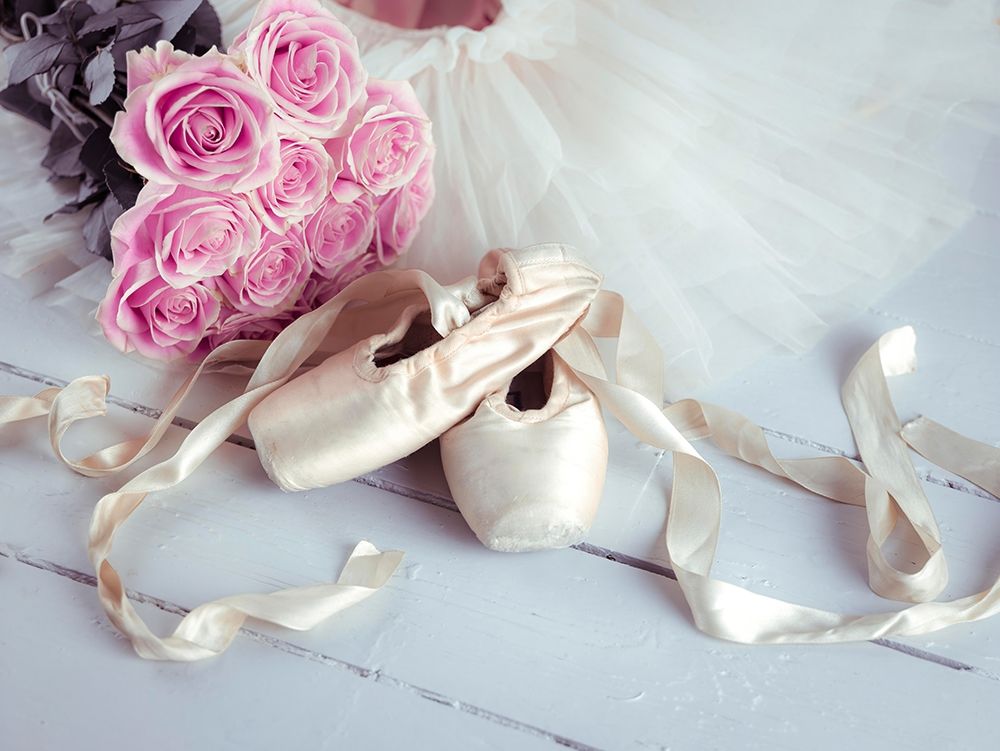 Ballet shoes and skirt art print by Assaf Frank for $57.95 CAD