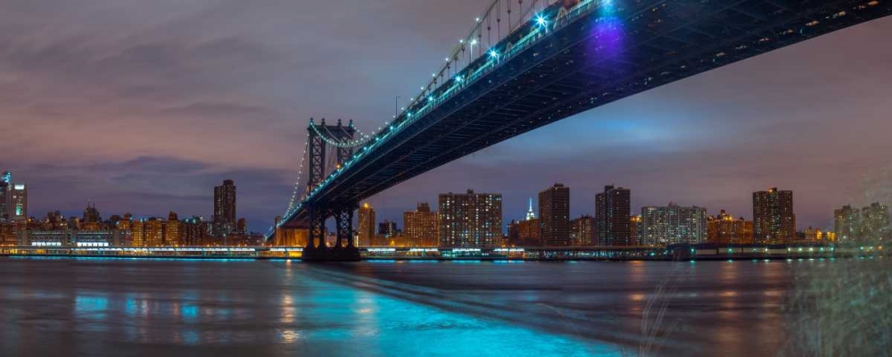 Manhattan bridge and New York city skyline art print by Assaf Frank for $57.95 CAD
