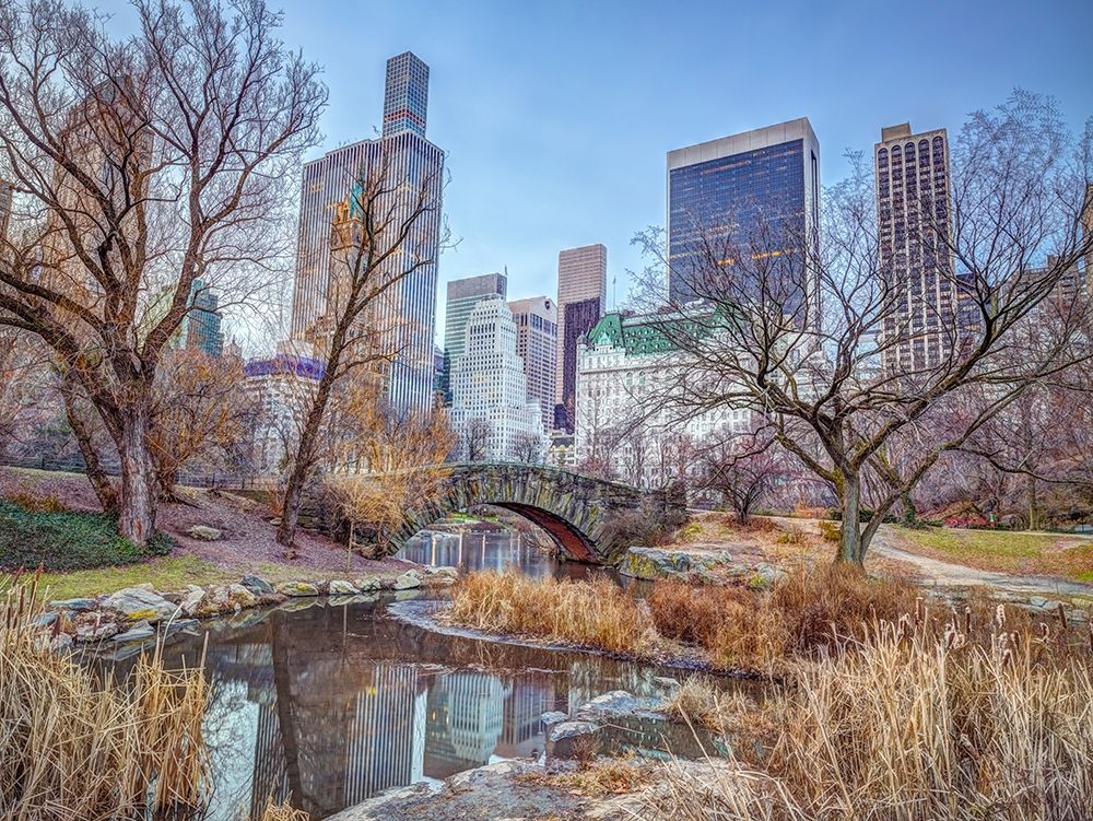 Central park with Manhattan skyline-New York art print by Assaf Frank for $57.95 CAD