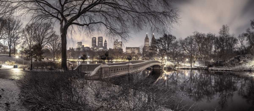 Central park with Manhattan skyline, New York art print by Assaf Frank for $57.95 CAD