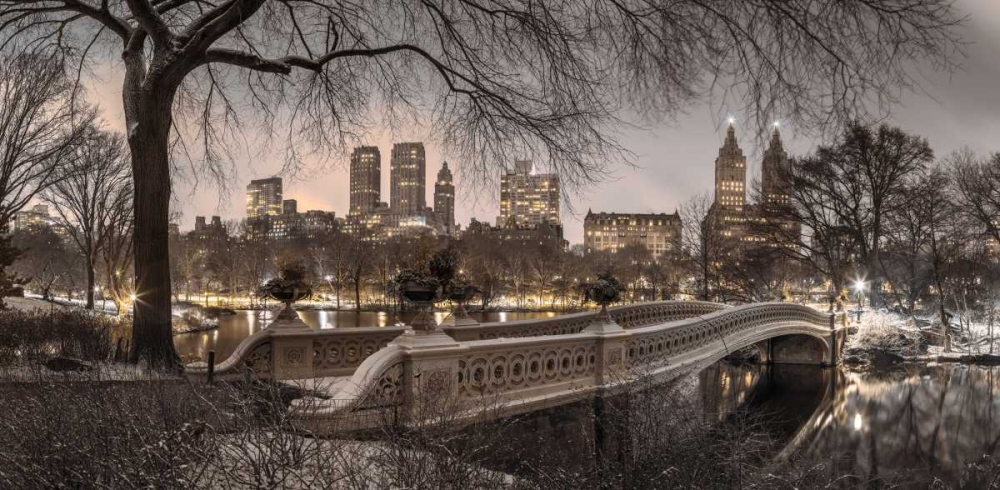 Central park with Manhattan skyline, New York art print by Assaf Frank for $57.95 CAD
