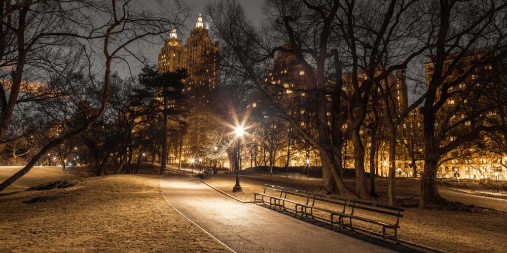 Central park in evening, New York art print by Assaf Frank for $57.95 CAD