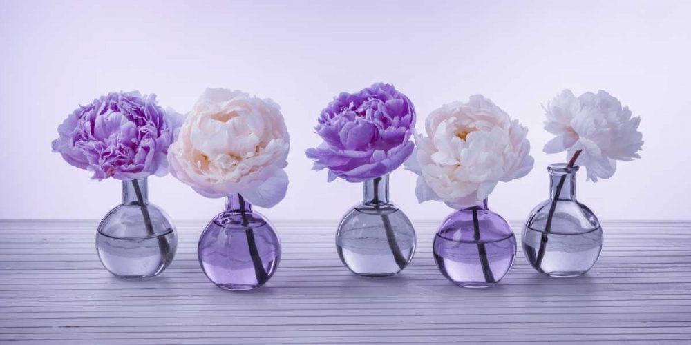 Peonies in glass bottles art print by Assaf Frank for $49.95 CAD