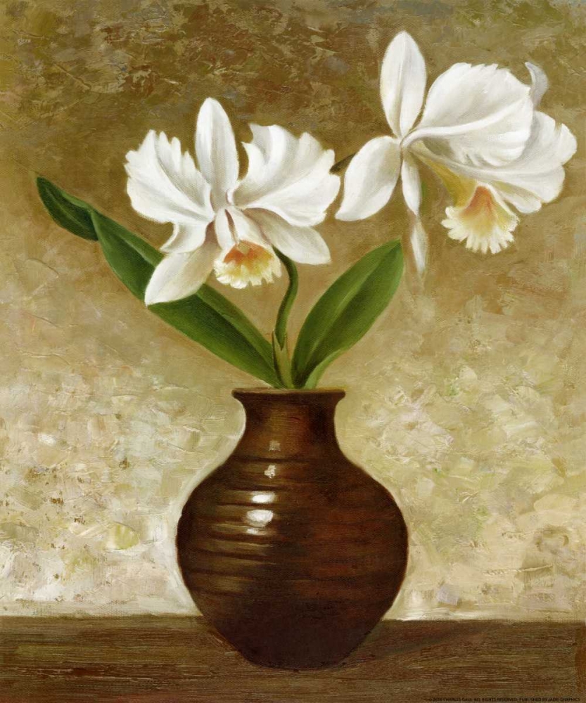 Flowering Orchid art print by Charles Gaul for $57.95 CAD