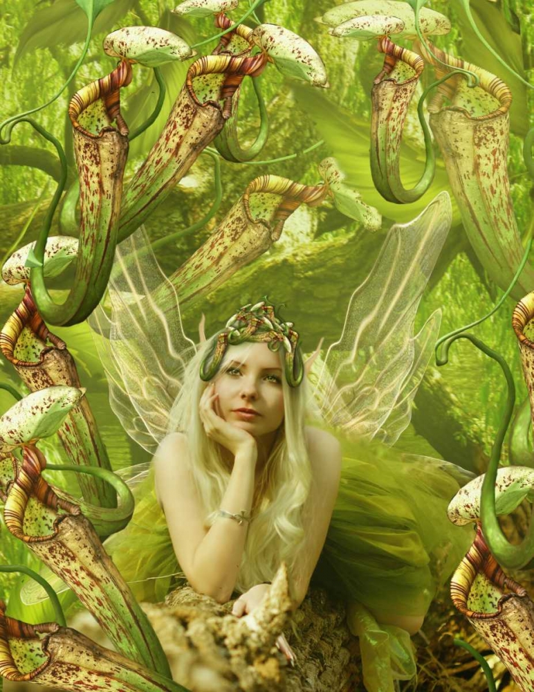 Fairy 22 art print by Babette for $57.95 CAD
