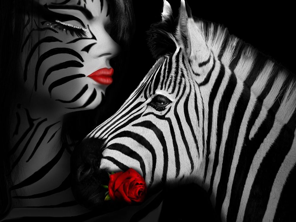 Zebra Love art print by Babette for $57.95 CAD