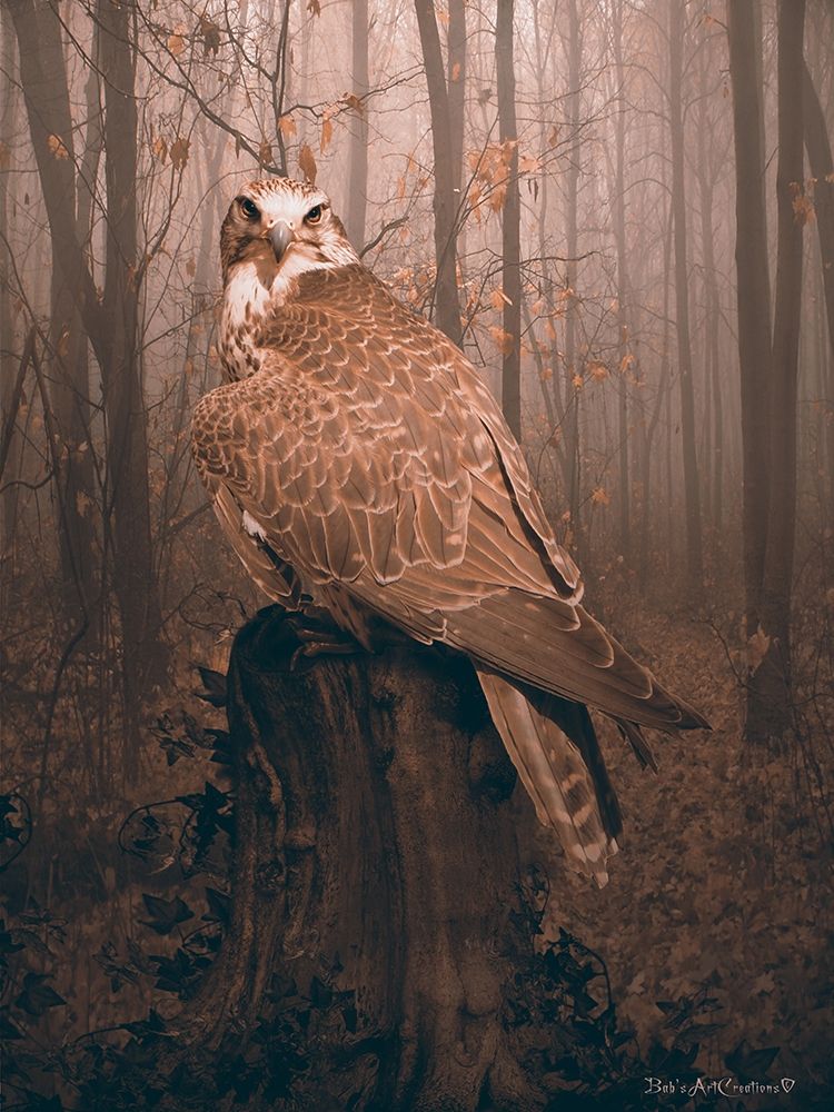 Falcon art print by Babette for $57.95 CAD