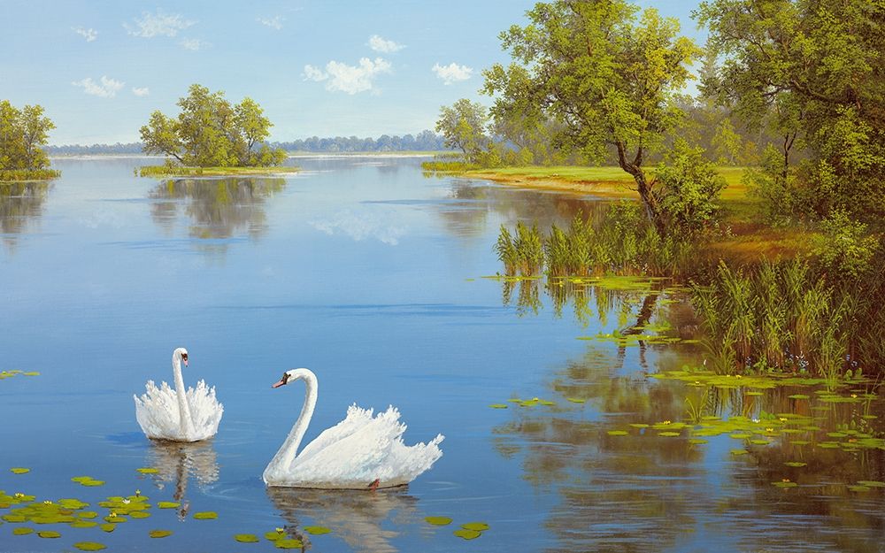 SWANS ON THE LAKE art print by Slava for $57.95 CAD