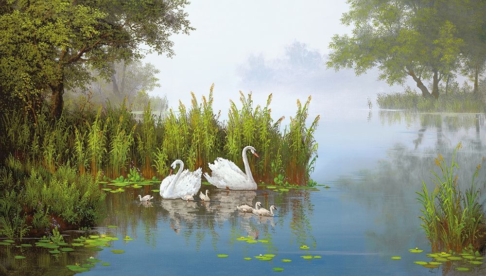 SWANS AT THE POND II art print by Slava for $57.95 CAD