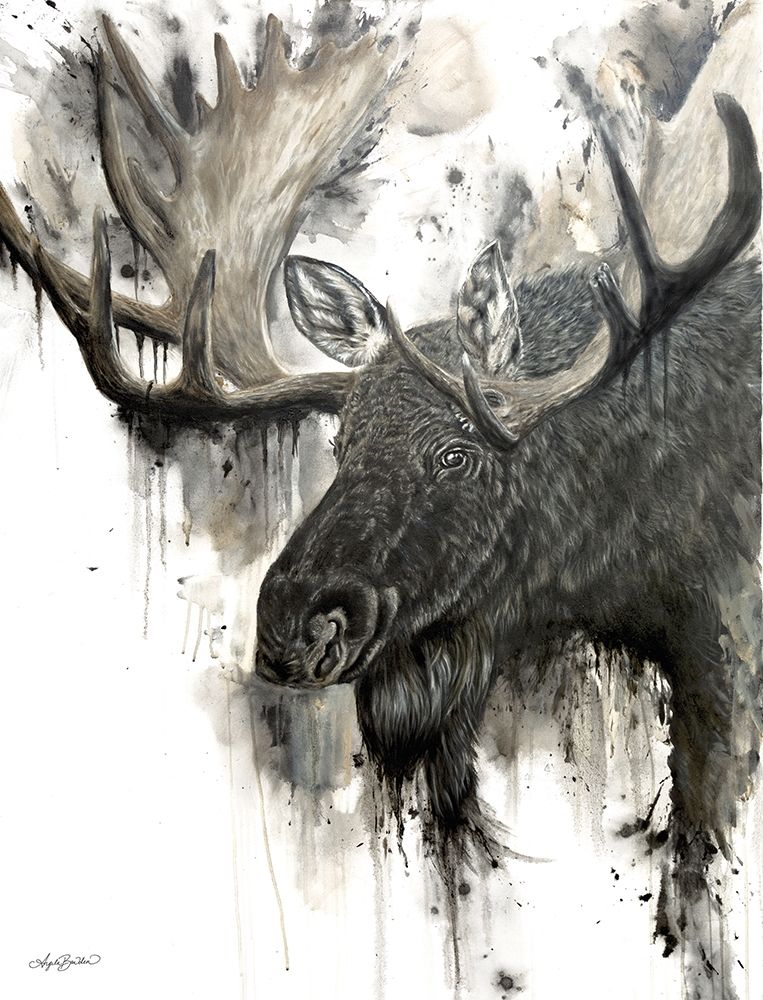 Bull Moose    art print by Angela Bawden for $57.95 CAD