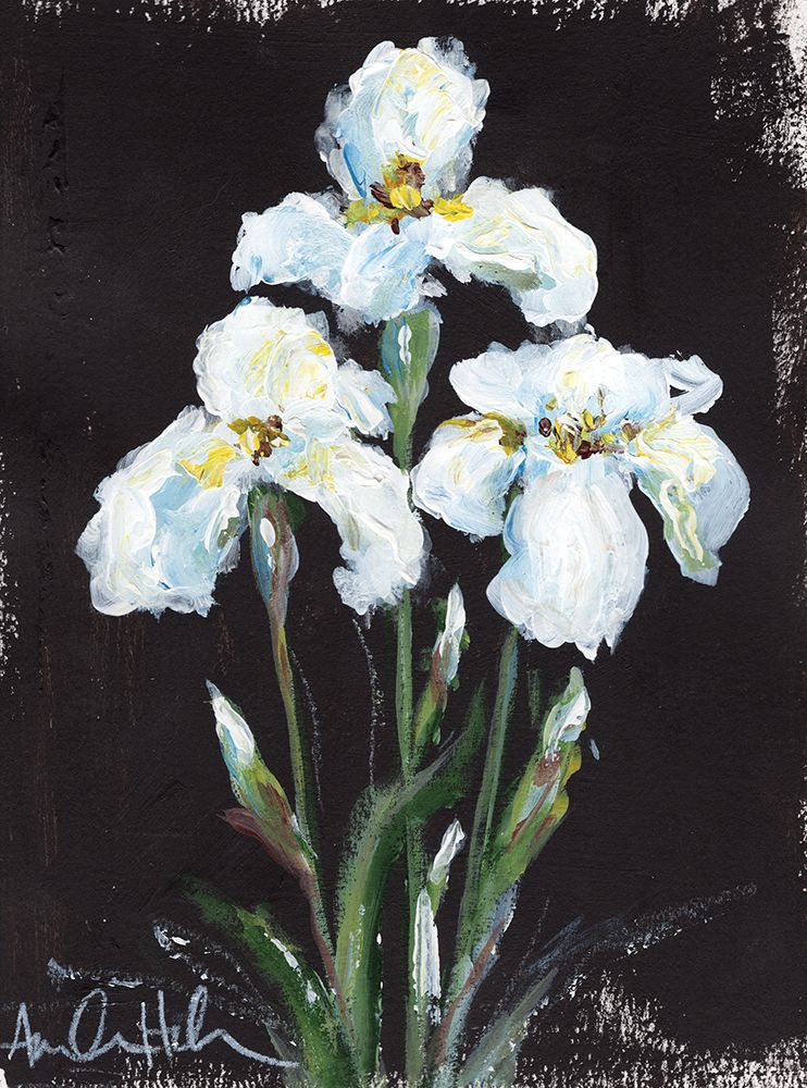 Contrasting Irises art print by Amanda Hilburn for $57.95 CAD