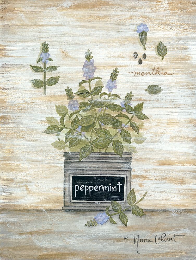 Peppermint Botanical art print by Annie LaPoint for $57.95 CAD