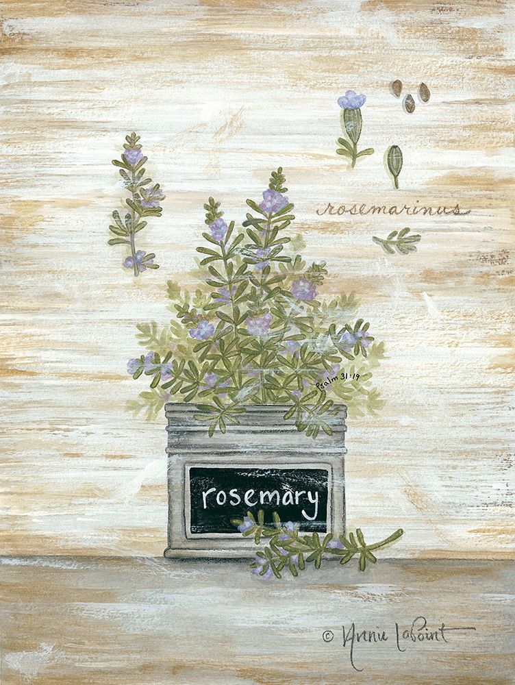 Rosemary Botanical art print by Annie LaPoint for $57.95 CAD
