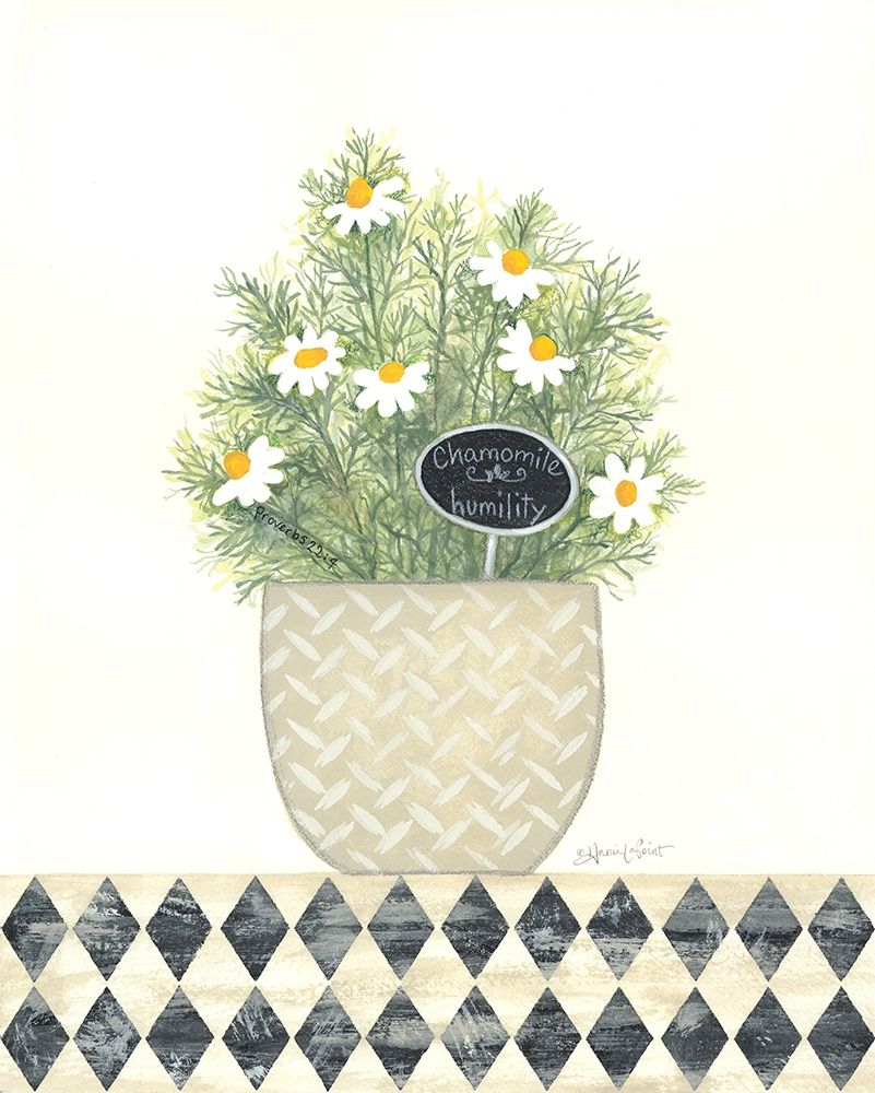 Chamomile Humility art print by Annie LaPoint for $57.95 CAD