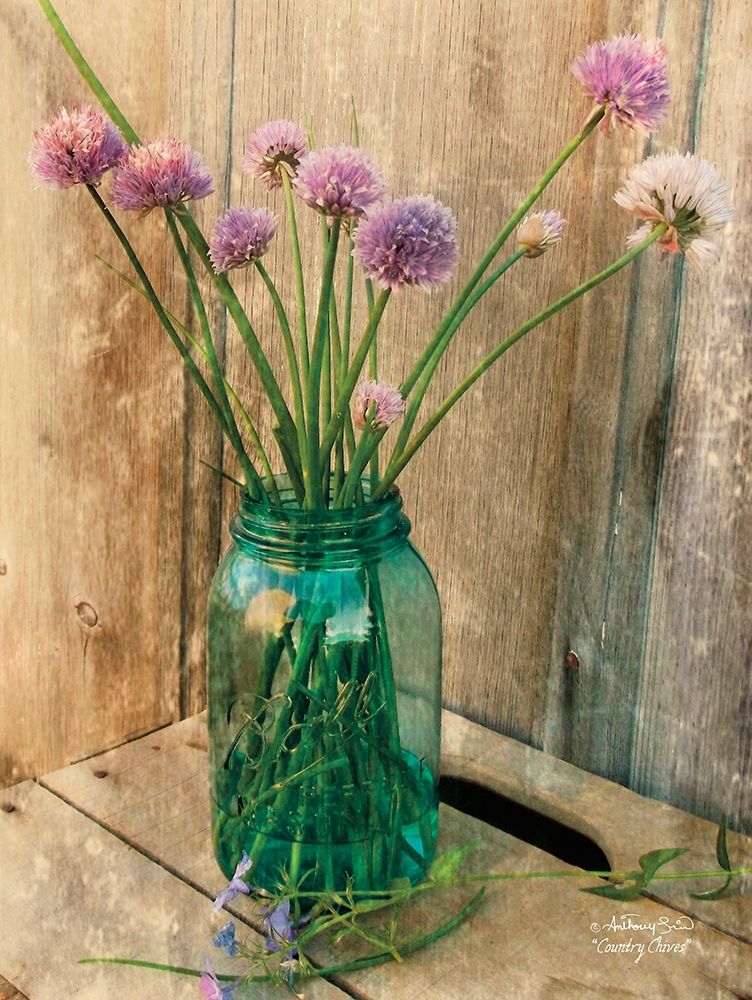 Country Chives art print by Anthony Smith for $57.95 CAD