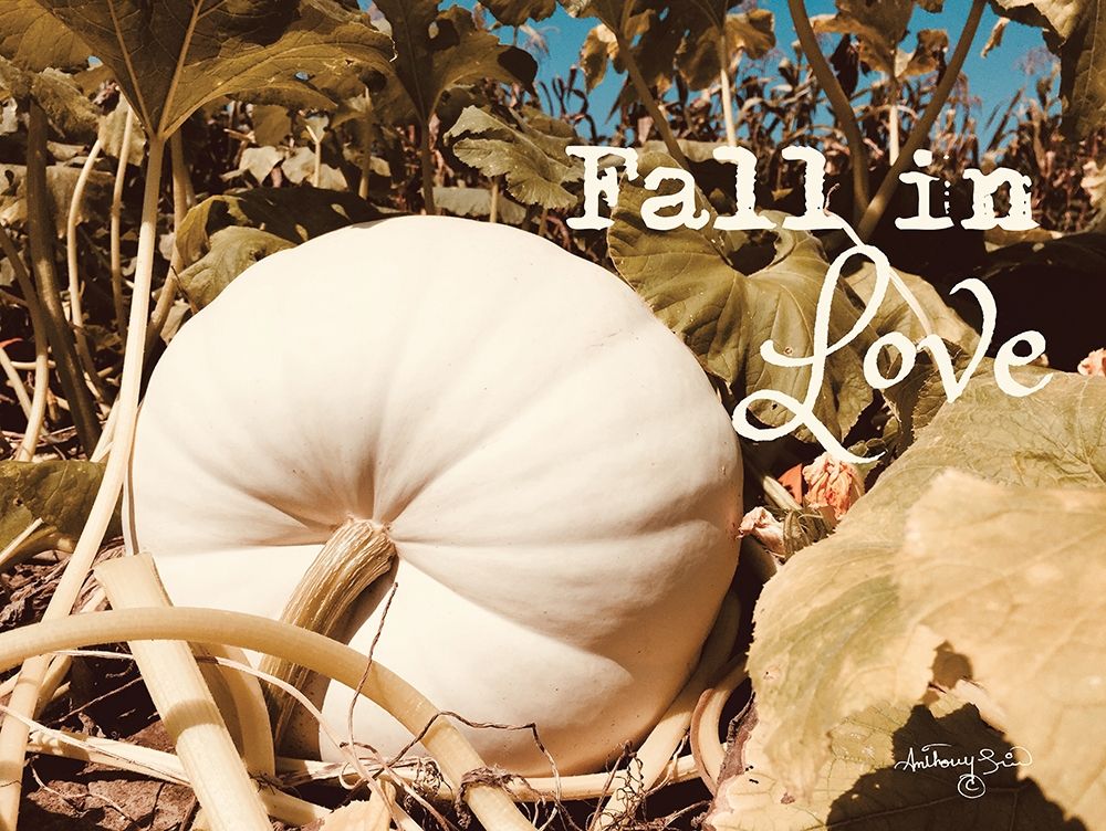 Fall in Love art print by Anthony Smith for $57.95 CAD