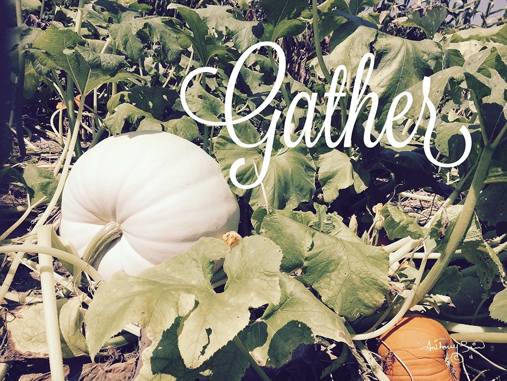 Gather art print by Anthony Smith for $57.95 CAD