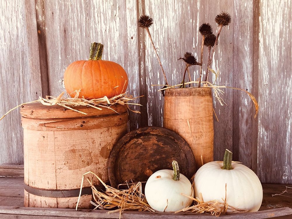 Autumn Pumpkins art print by Anthony Smith for $57.95 CAD