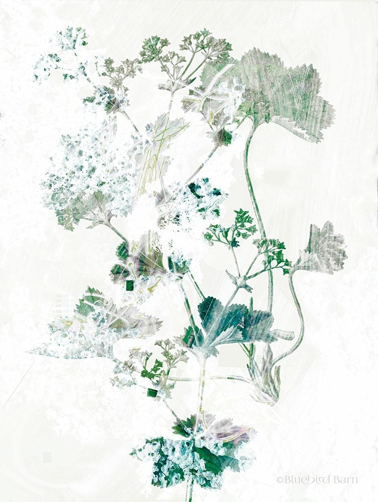 Geranium Botanical  art print by Bluebird Barn for $57.95 CAD
