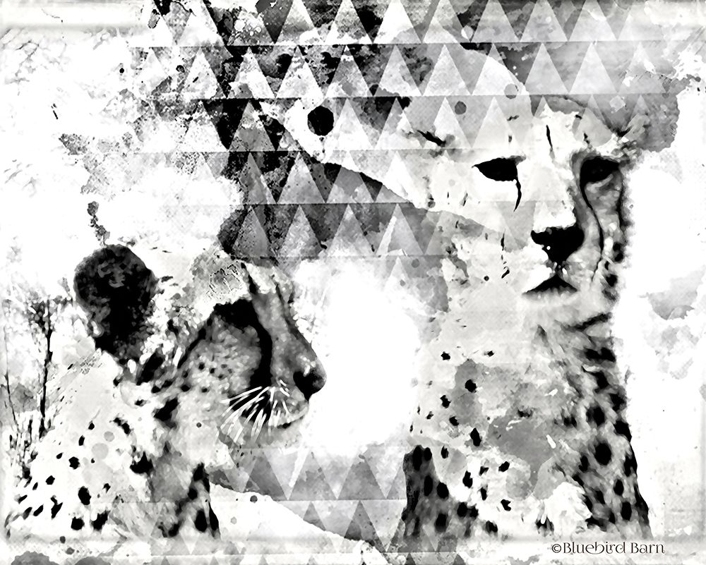 Modern Black And White Cheetahs art print by Bluebird Barn for $57.95 CAD