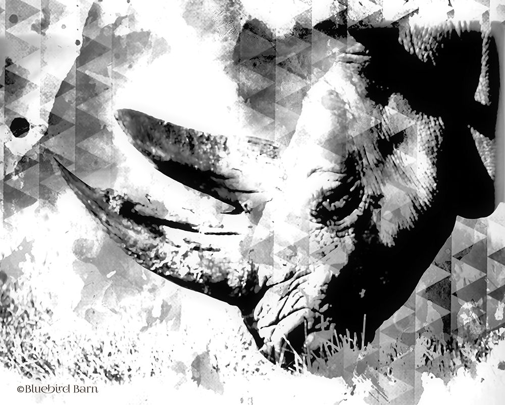 Modern Black And White Rhino art print by Bluebird Barn for $57.95 CAD