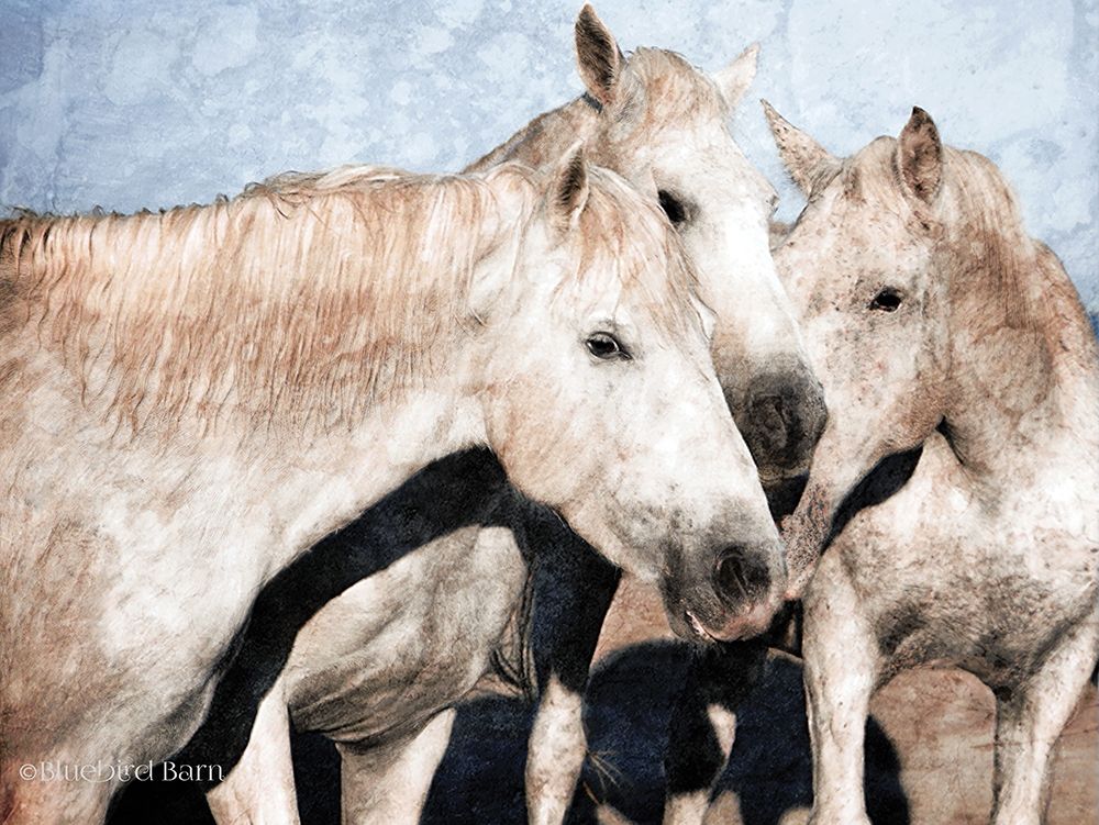 White Horse    art print by Bluebird Barn for $57.95 CAD